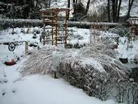 SA500140.webp
