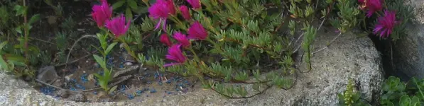 Bretagne.webp