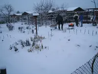Kopie von Garten Januar 2010 005.webp