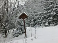 Kikelhahn 2010 030.webp