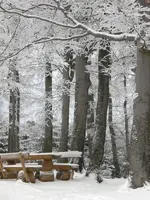Kikelhahn 2010 036.webp