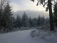 Kikelhahn 2010 038.webp