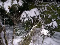 PICT0083.webp
