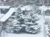 03.01.2010 003.webp