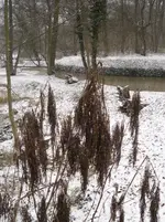 3.1.2010 013.webp