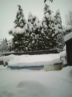 PIC00059.webp