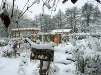 SA500148.webp