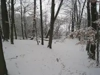 Bild 088.webp