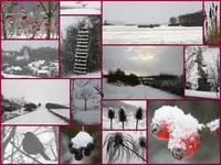 Winterspaziergang [1024x768].webp