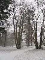 3.1.2010 028.webp