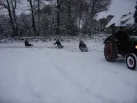 SDC11874.webp