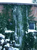 PICT0081.webp