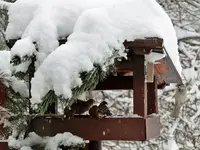 Bild 077.webp