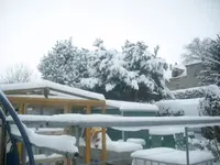 04.01.2010 005.webp