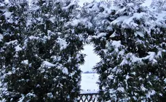 Bild 050.webp