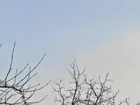 Bild 038.webp