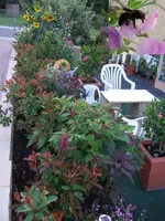 Bild 10 Terrasse 07-2009.webp