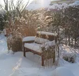 Bank im Winter.webp
