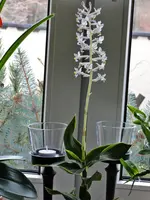 Bild 022.webp
