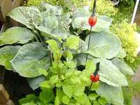 BILD0051.webp