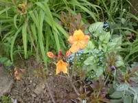 DSC00236.webp