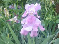 DSC00292.webp