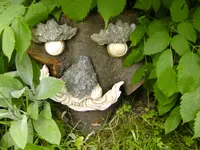 BILD0008.webp