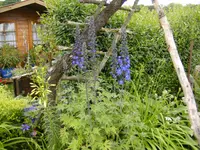 BILD0020.webp