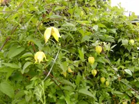 BILD0016.webp