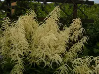BILD0009.webp