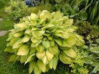 BILD0014.webp