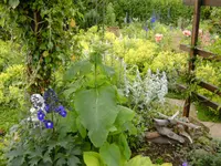 BILD0029.webp