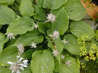 BILD0182.webp