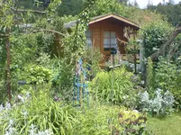 DSC00312.webp