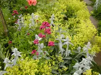 BILD0021.webp