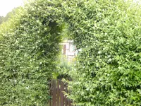 BILD0060.webp