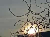 DSC01012.webp