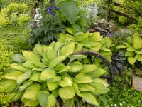 BILD0030.webp