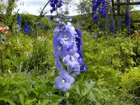 BILD0117.webp
