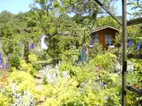 BILD0080.webp