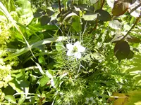 BILD0079.webp