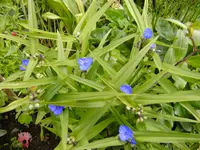 BILD0113.webp