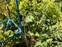 BILD0099.webp