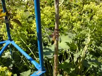 BILD0100.webp
