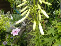 BILD0153.webp
