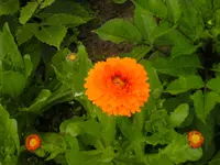 BILD0164.webp