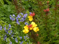 BILD0158.webp