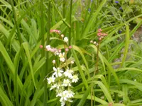 BILD0159.webp