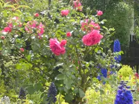 BILD0144.webp