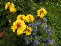 garten4 037.webp